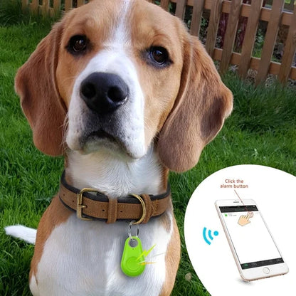 PetSafe GPS Tracker™