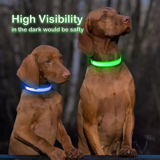 PetSafe LED Collar (FREE Today)