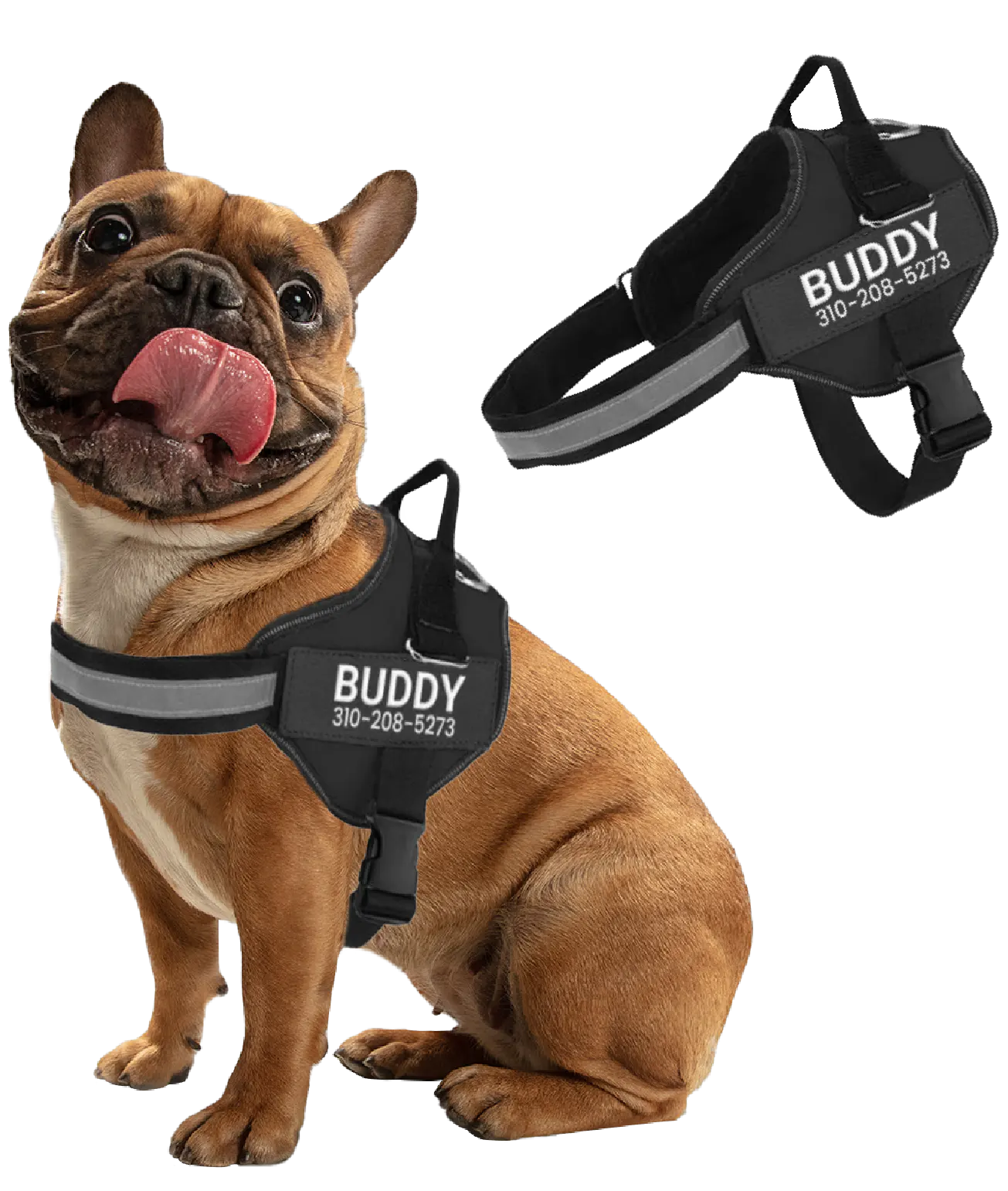 Personalized No Pull Dog Harness + FREE Leash