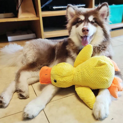 Calming Duck Toy