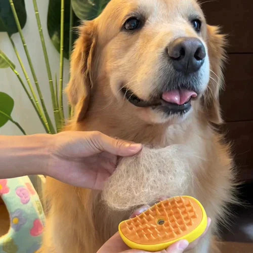 Steamy Pet Brush