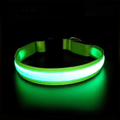 PetSafe LED Collar (FREE Today)