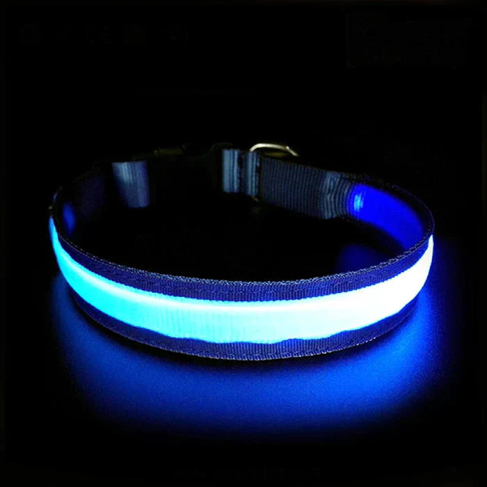 PetSafe LED Collar (FREE Today)