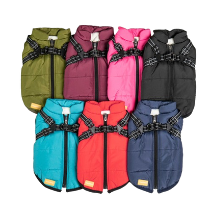 PetSafe 3 in 1 Jacket + FREE Shoes