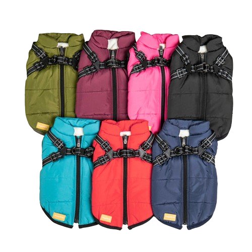 PetSafe 3 in 1 Jacket + FREE Shoes