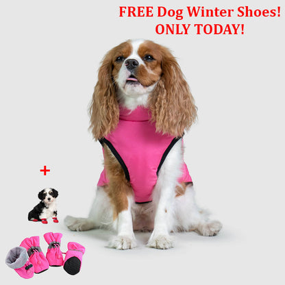 PetSafe 3 in 1 Jacket + FREE Shoes