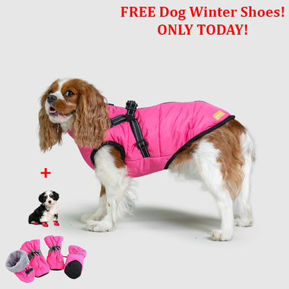 PetSafe 3 in 1 Jacket + FREE Shoes