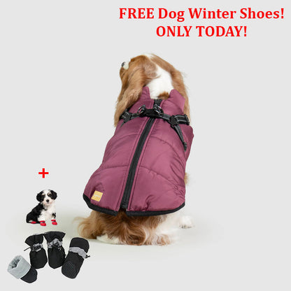 PetSafe 3 in 1 Jacket + FREE Shoes