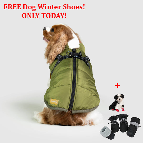 PetSafe 3 in 1 Jacket + FREE Shoes