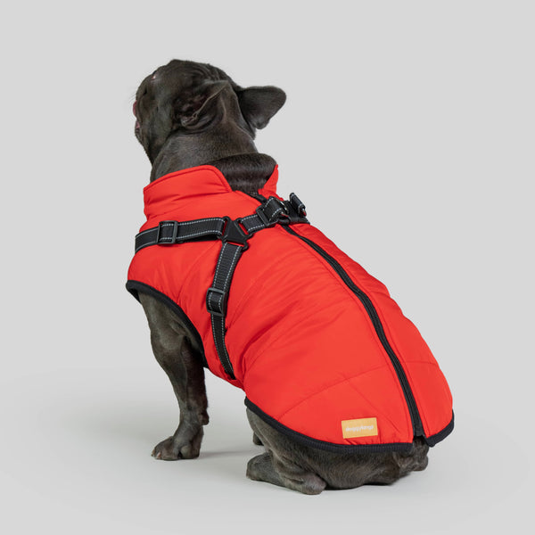 PetSafe 3 in 1 Jacket + FREE Shoes