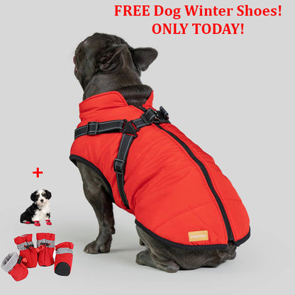 PetSafe 3 in 1 Jacket + FREE Shoes