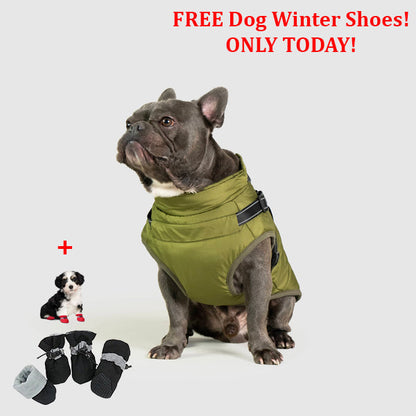 PetSafe 3 in 1 Jacket + FREE Shoes