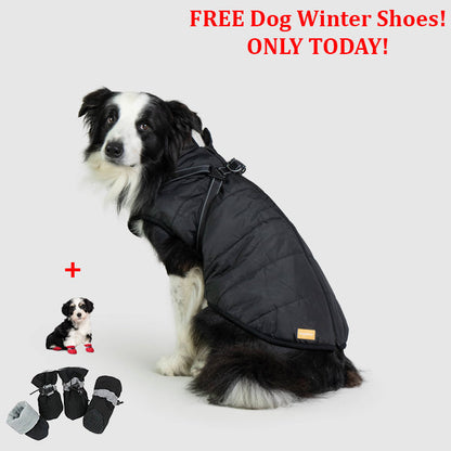 PetSafe 3 in 1 Jacket + FREE Shoes