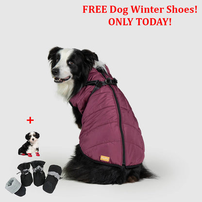 PetSafe 3 in 1 Jacket + FREE Shoes