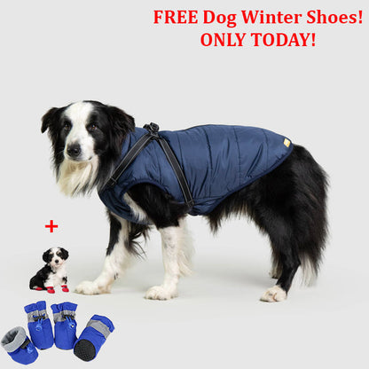 PetSafe 3 in 1 Jacket + FREE Shoes