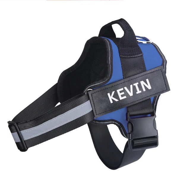 Personalized No Pull Dog Harness