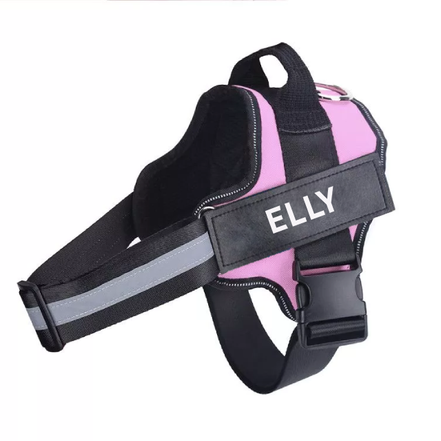 Personalized No Pull Dog Harness