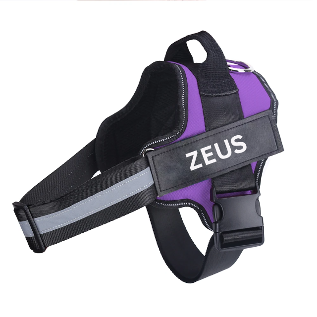 Personalized No Pull Dog Harness