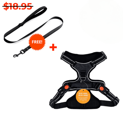 SafeJourney Harness + FREE Leash