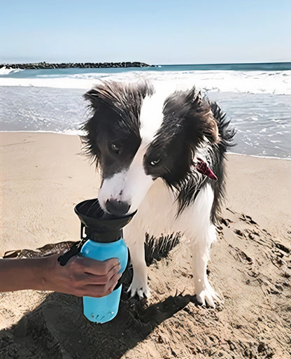 SafePet Water Bowl Bottle