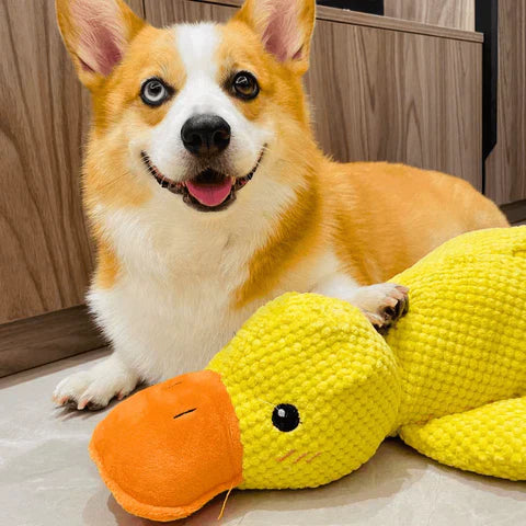 Calming Duck Toy