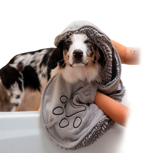 PetSafe Shammy Dog Towel