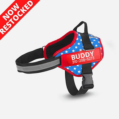 Personalized No Pull Dog Harness